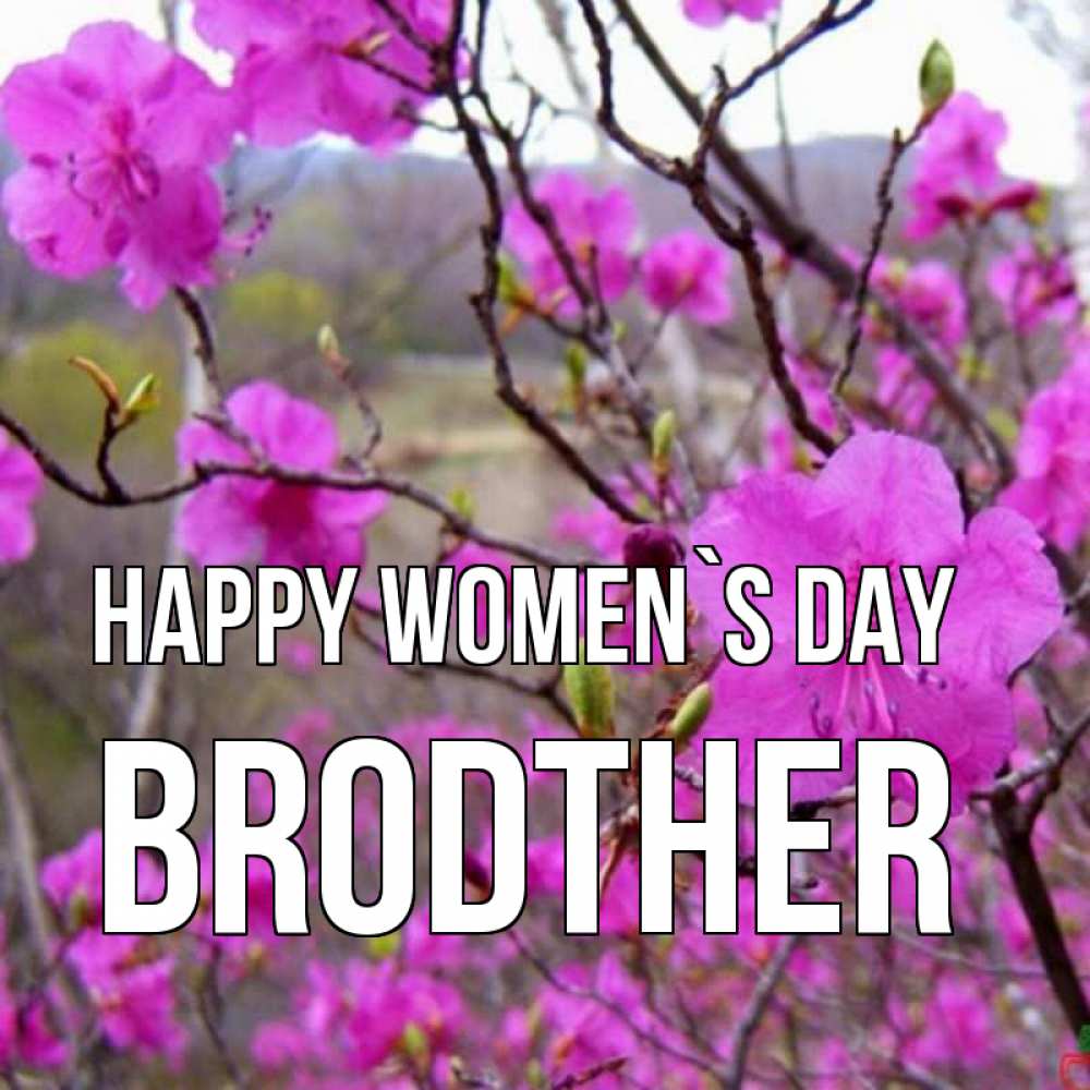 Greetings card с именем, brodther happy women`s day международный женский день Greetings with text for free download 